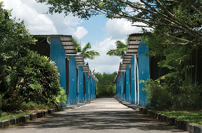 Greenhouse cultivation